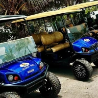 Exploring Key West in Style: The Key Rides Golf Carts Experience